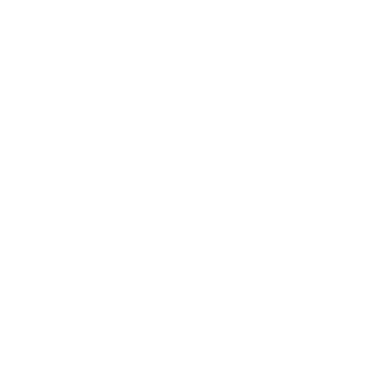 Bevan Foundation Logo